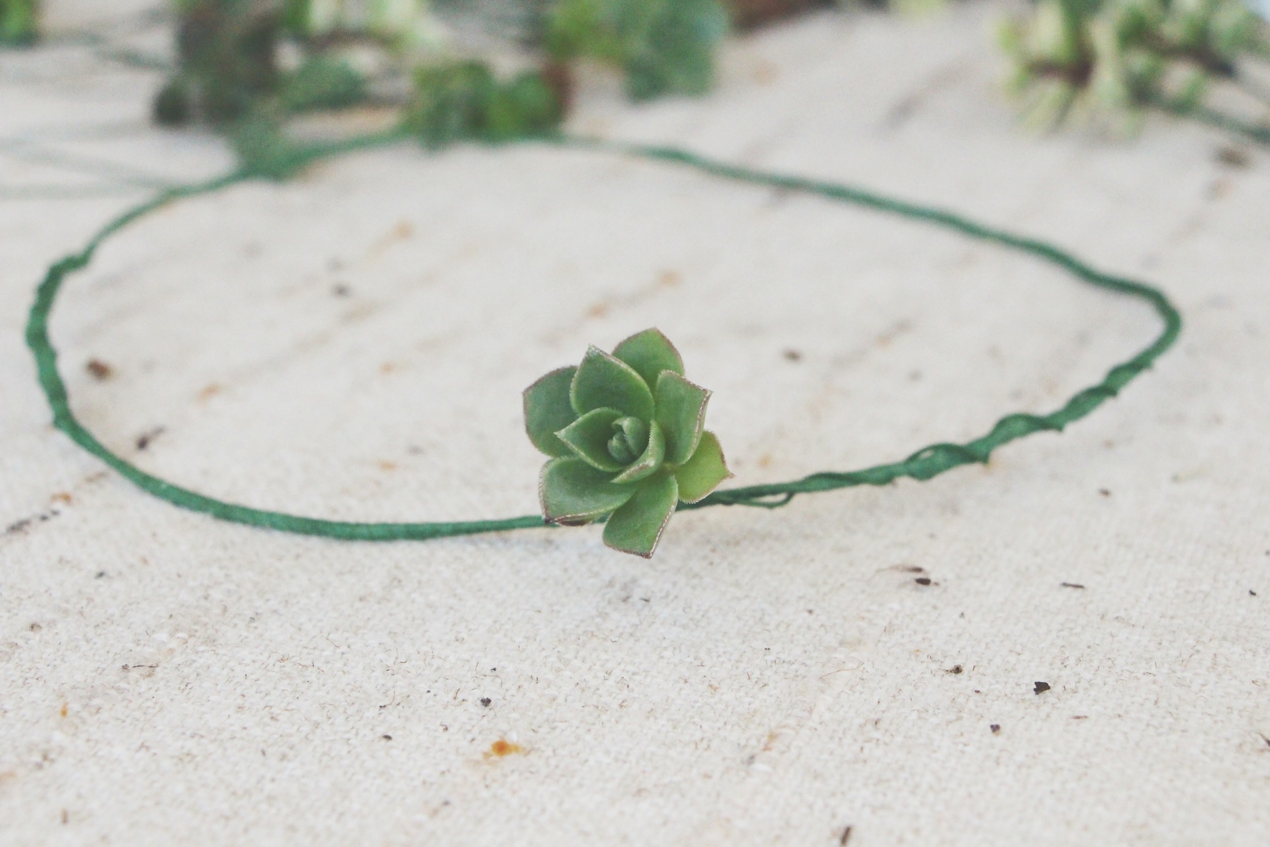 diy succulent crown via needles + leaves
